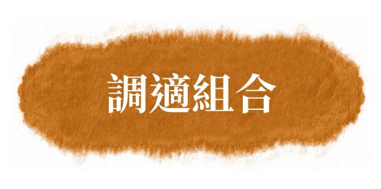 初中互動中國語文